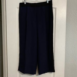 Ann Taylor Trousers